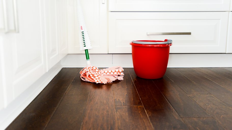 mop and bucket on a hardwood floor